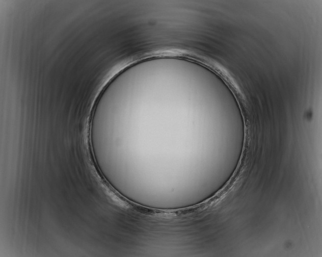 X0000100781186200806191009