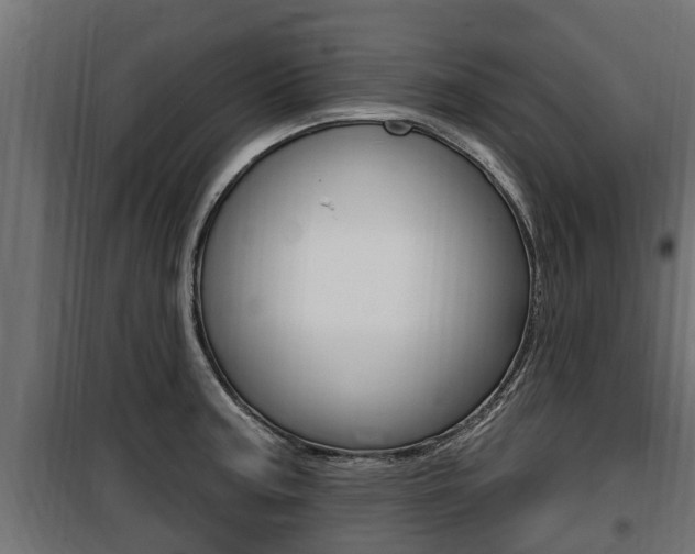 X0000100781187200806191009