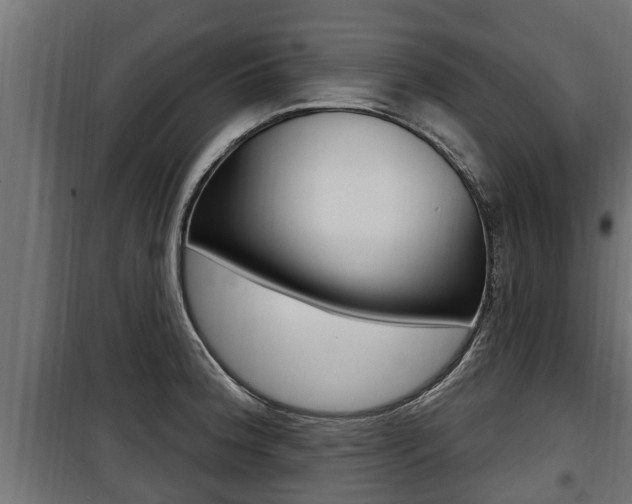 X0000100781188200806191009
