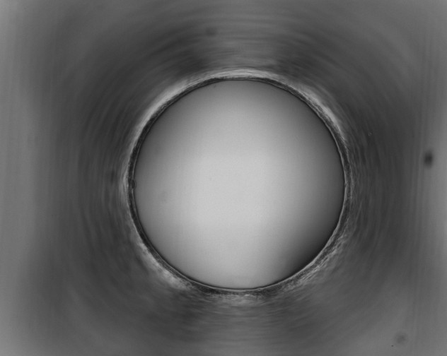 X0000100781189200806191009