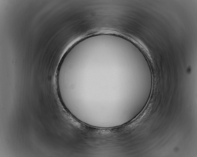 X0000100781190200806191009
