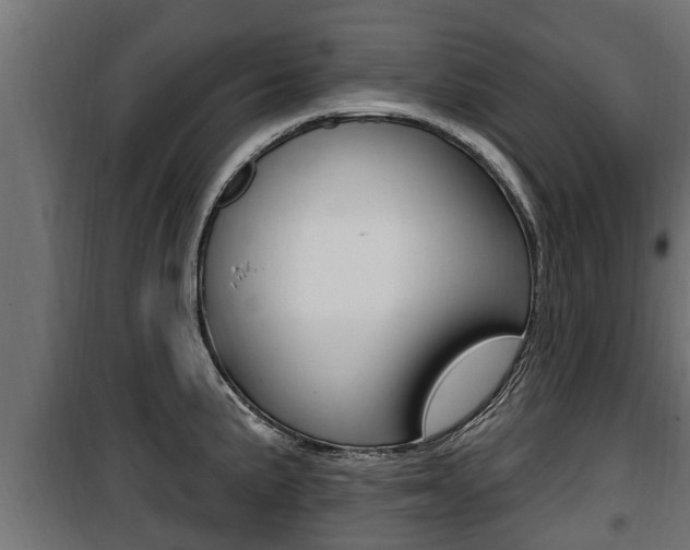 X0000100781191200806191009