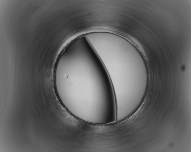 X0000100781192200806191009