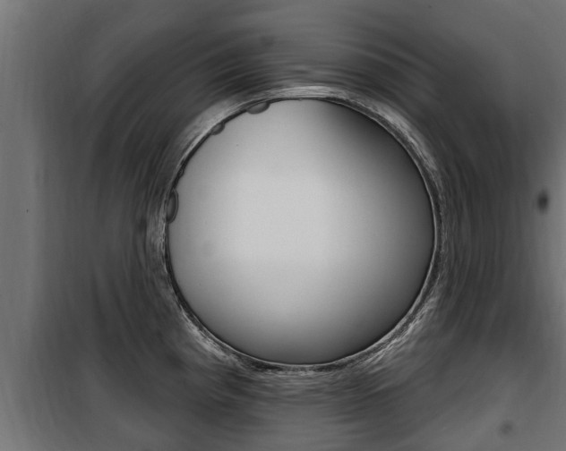X0000100781193200806191009