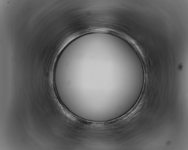 X0000100781194200806191009