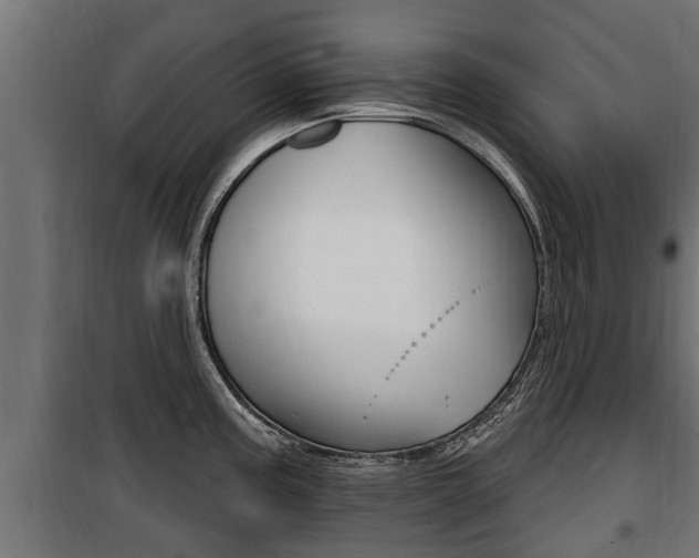 X0000100781195200806191009