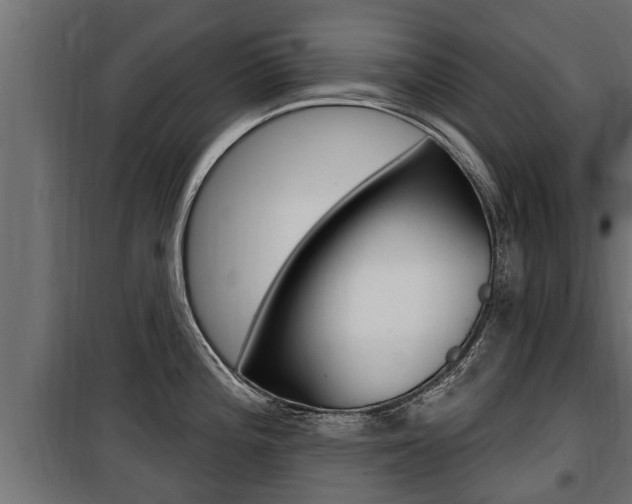 X0000100781196200806191009