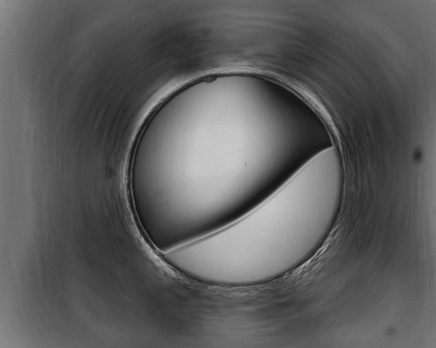 X0000100781197200806191009