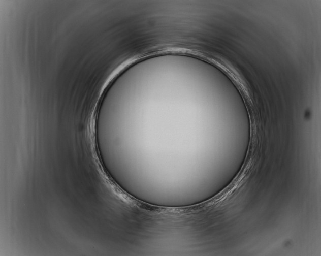 X0000100781198200806191009