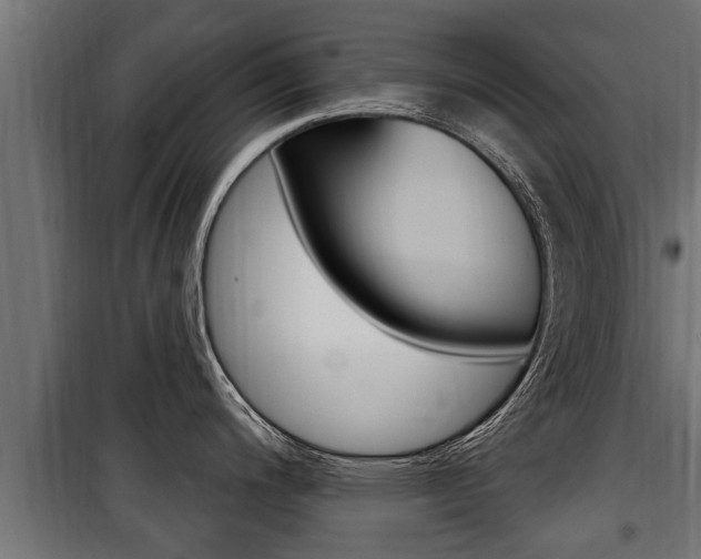 X0000100781200200806191009