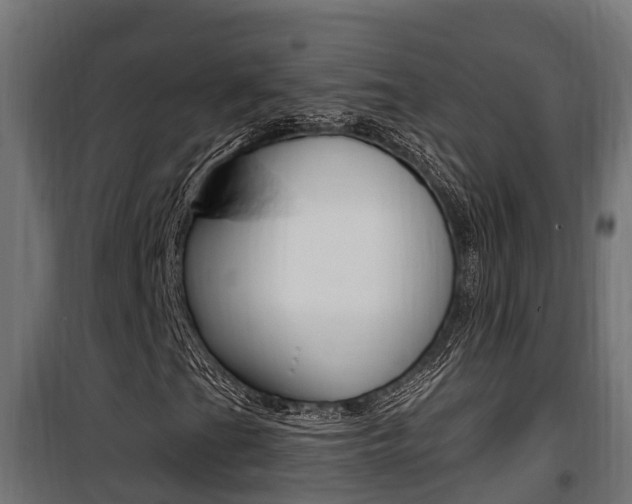 X0000100781201200806191008