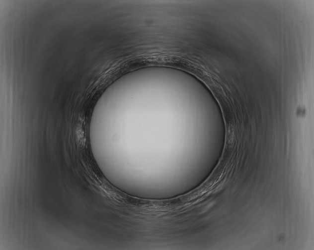 X0000100781202200806191008
