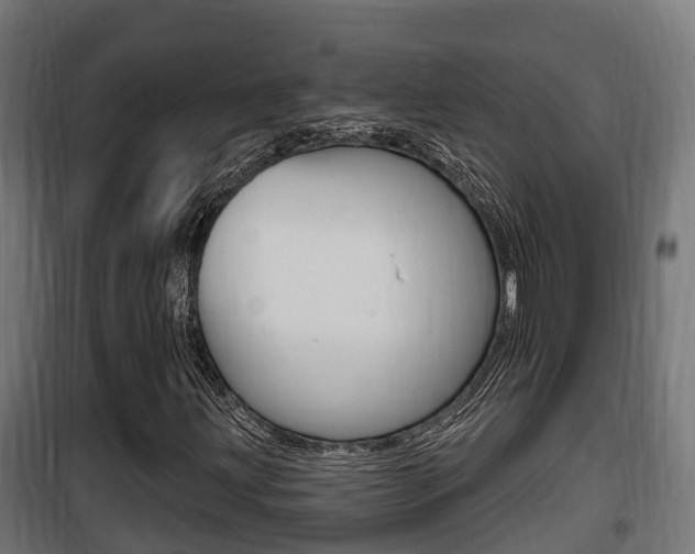 X0000100781203200806191008