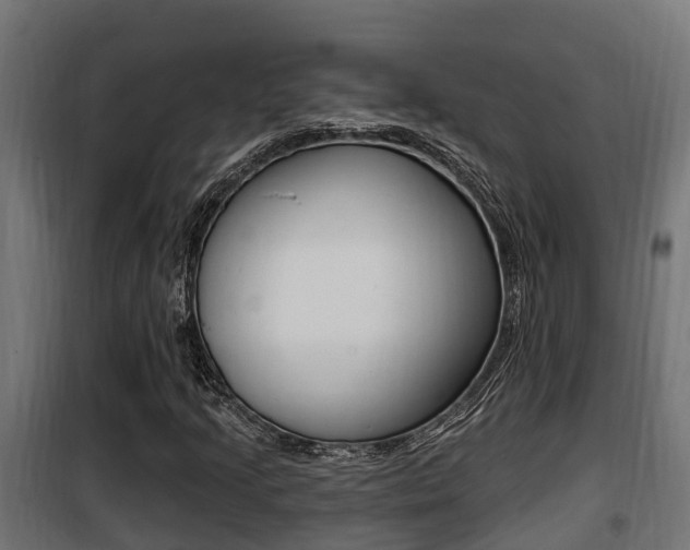 X0000100781205200806191008