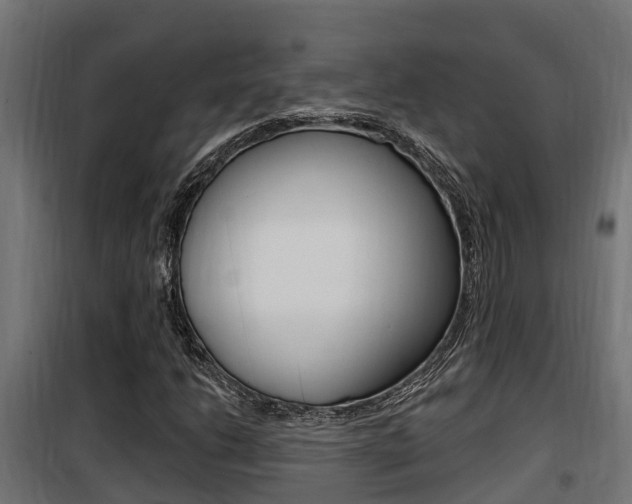 X0000100781206200806191008
