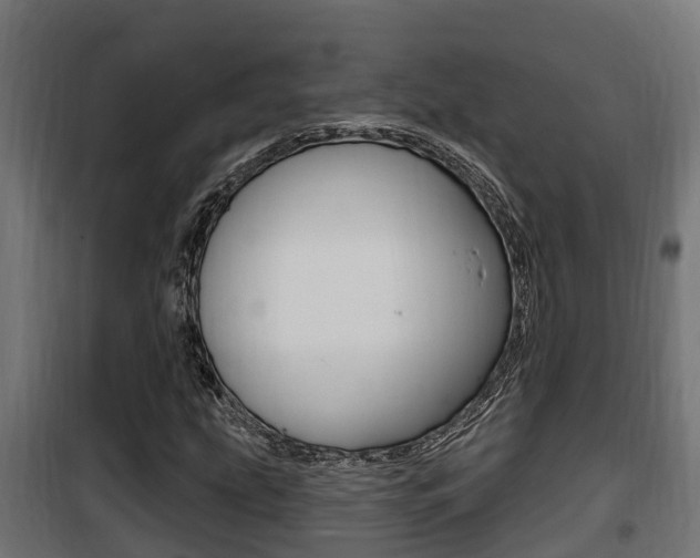 X0000100781207200806191008
