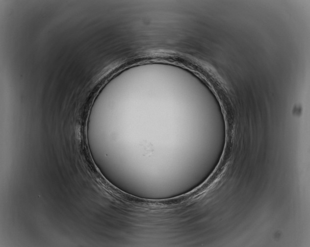 X0000100781209200806191008