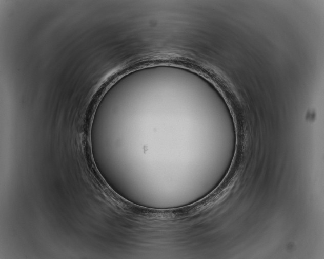 X0000100781210200806191008
