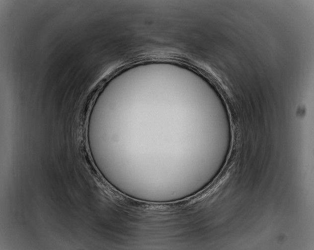 X0000100781211200806191008