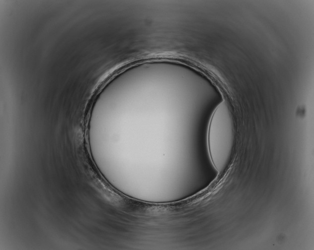 X0000100781212200806191008