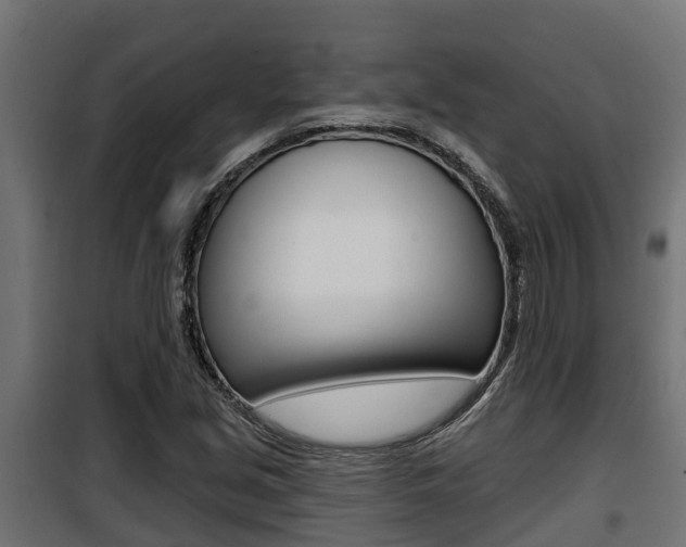 X0000100781213200806191008