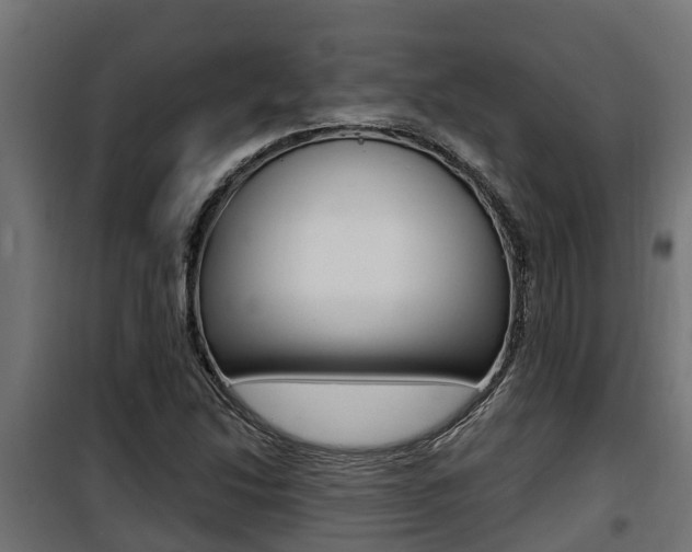 X0000100781214200806191008