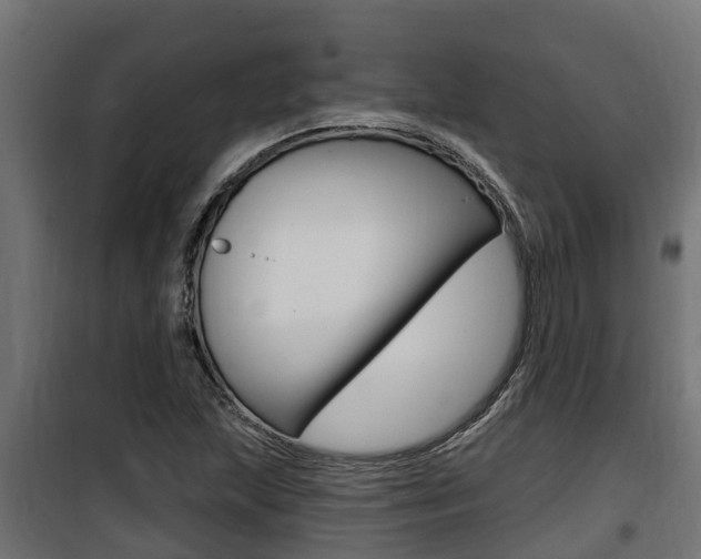 X0000100781215200806191008