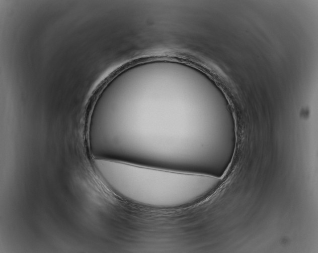 X0000100781216200806191008
