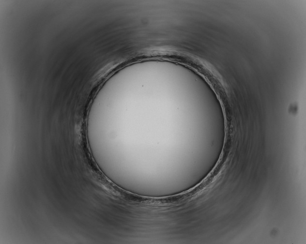 X0000100781217200806191008