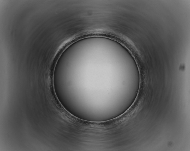 X0000100781218200806191008