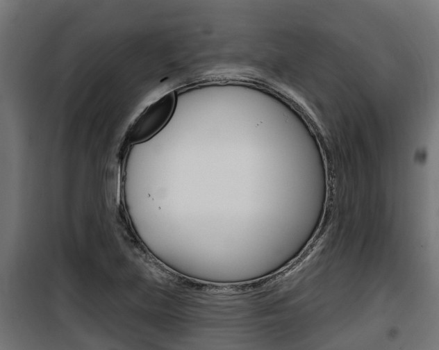 X0000100781219200806191009