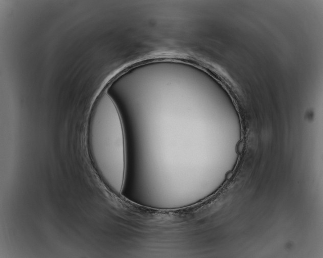 X0000100781220200806191009
