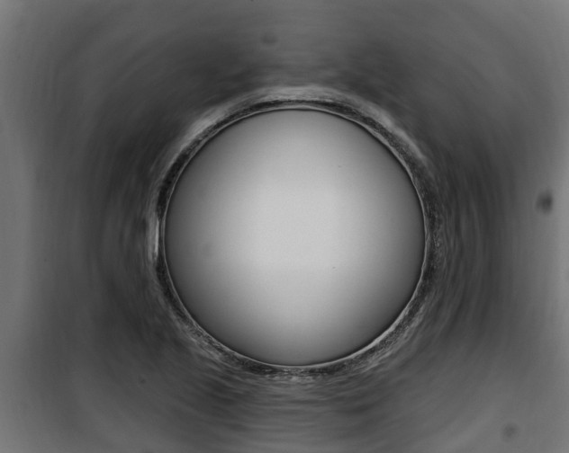 X0000100781221200806191009