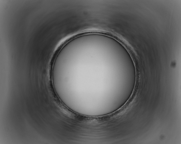 X0000100781222200806191009