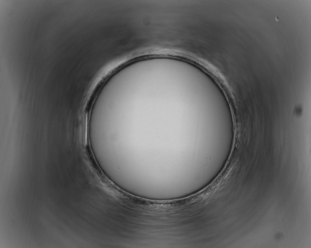 X0000100781223200806191009