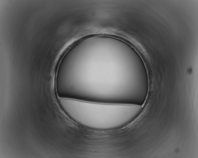 X0000100781224200806191009