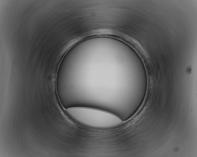 X0000100781225200806191009