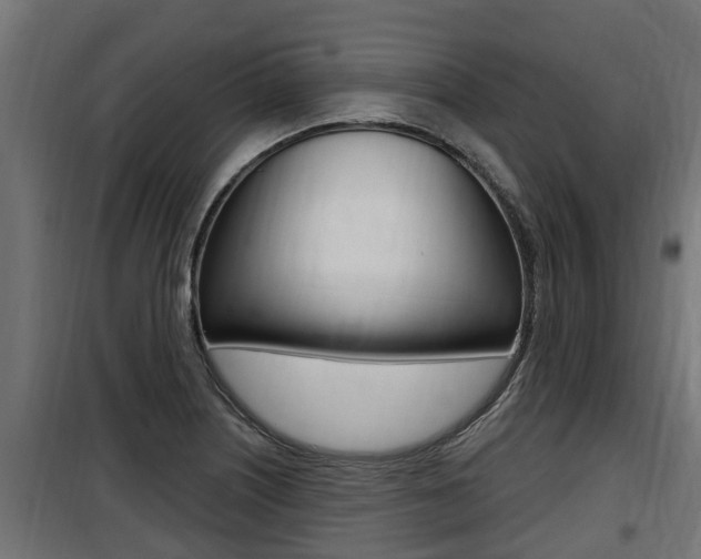 X0000100781226200806191009