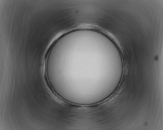 X0000100781227200806191009