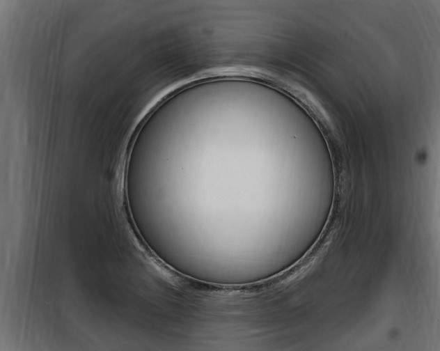 X0000100781228200806191009
