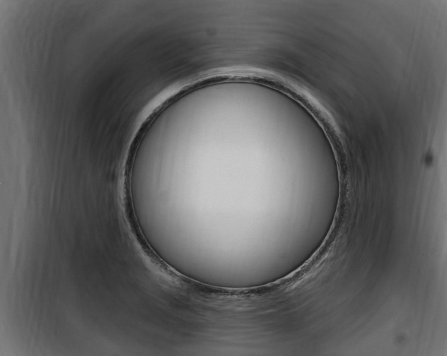 X0000100781229200806191009