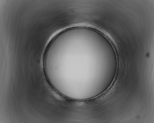 X0000100781230200806191009