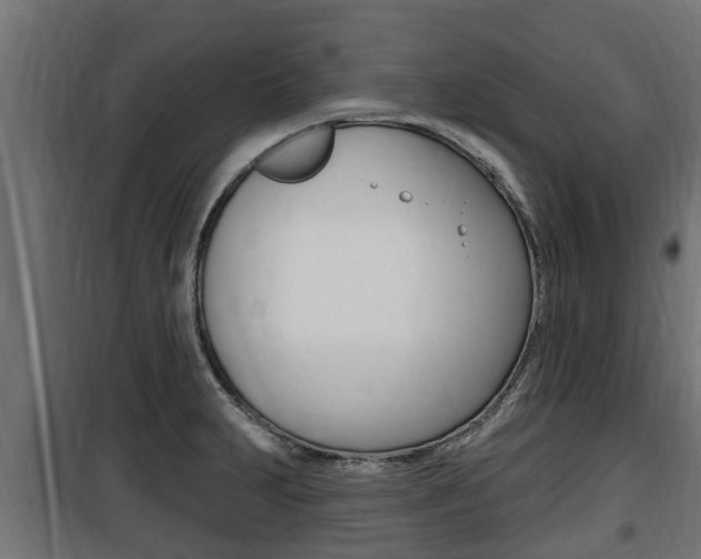 X0000100781231200806191009