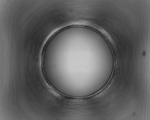 X0000100781232200806191009