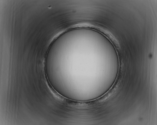X0000100781233200806191009