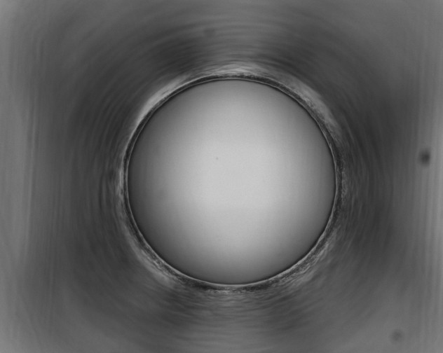 X0000100781234200806191009