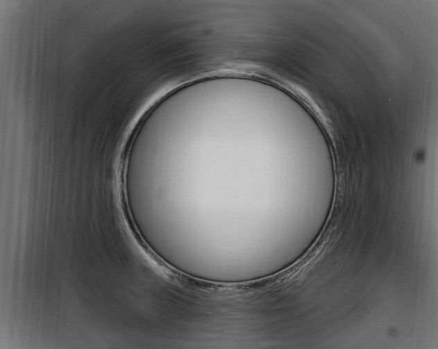 X0000100781235200806191009
