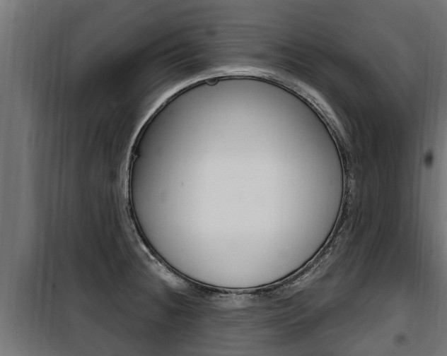 X0000100781236200806191009
