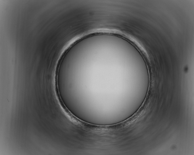 X0000100781237200806191009