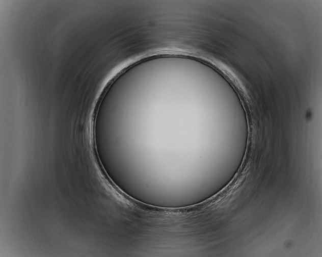 X0000100781238200806191009